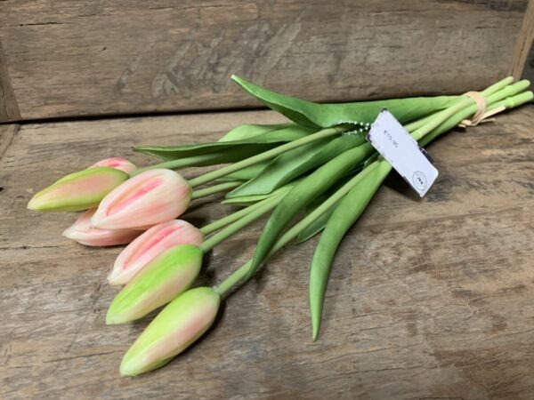 Tulp roze 7031-7