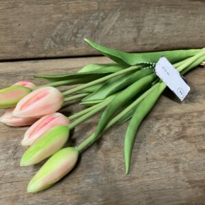 Tulp roze 7031-7