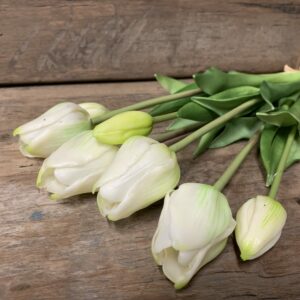 Tulp open wit 7017-0