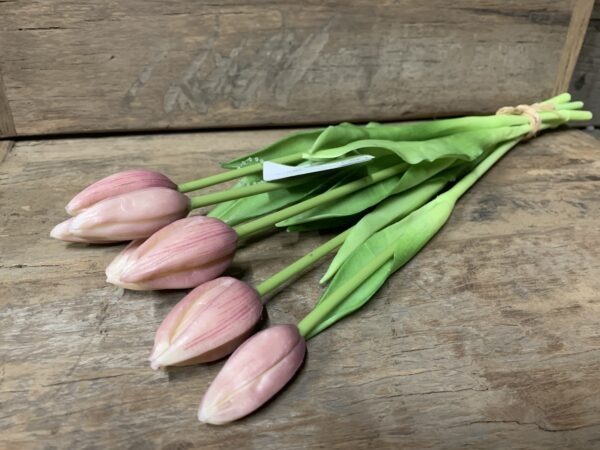 Tulp roze paars 7031-17