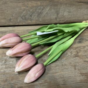 Tulp roze paars 7031-17