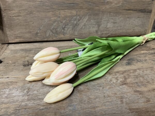 Tulp zacht roze 7031-17