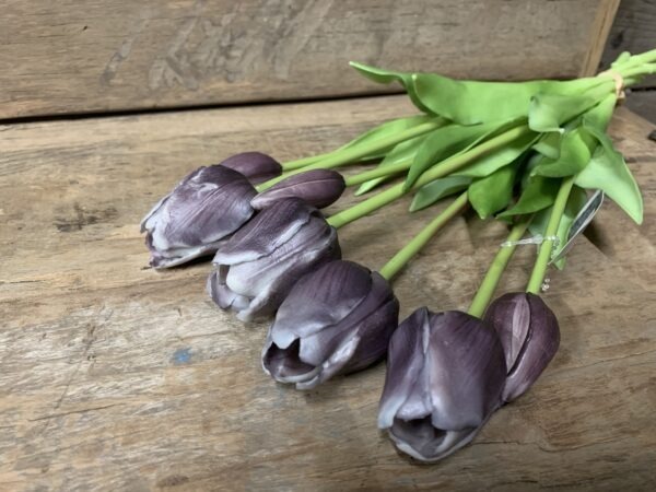 Tulp open oud paars 7017-29