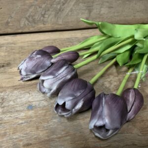 Tulp open oud paars 7017-29