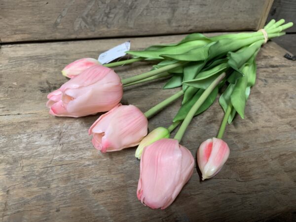 Tulp open roze 7017-7