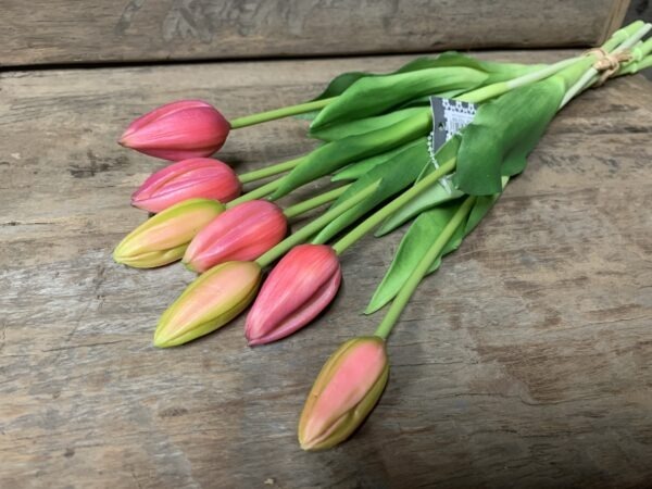 Tulp roze