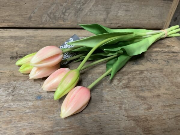 Tulp licht roze