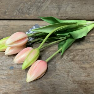 Tulp licht roze