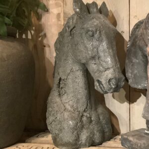Paardenhoofd grijs