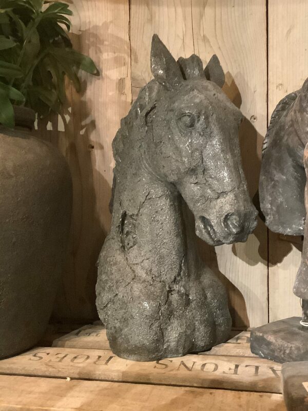 Paardenhoofd grijs
