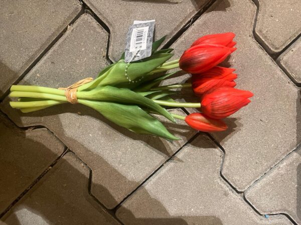 Tulpen bos korte tulp - Afbeelding 7