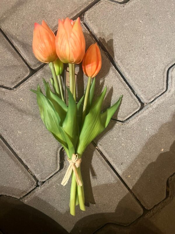 Tulpen bos korte tulp - Afbeelding 3