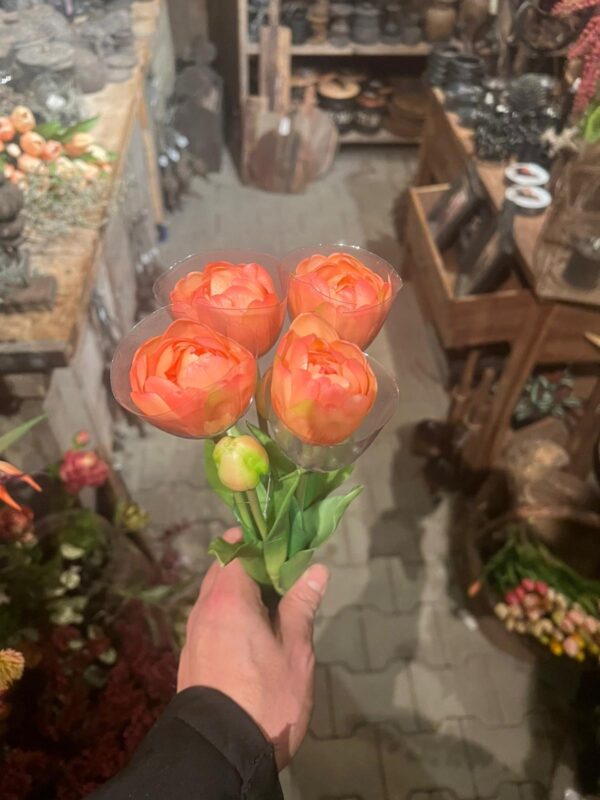 Tulpen bos dubbele bloem - Afbeelding 5
