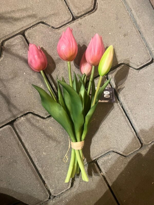 Tulpen bos korte tulp - Afbeelding 5