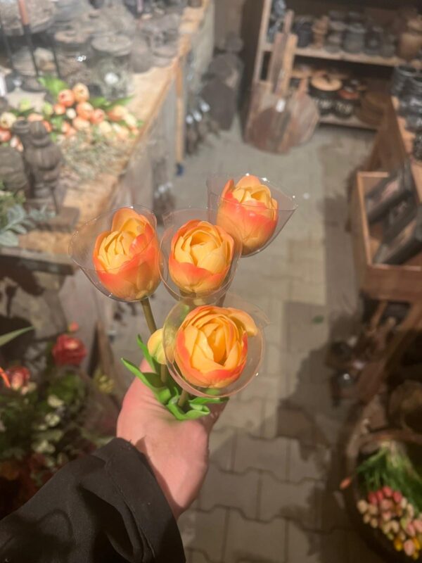 Tulpen bos dubbele bloem - Afbeelding 9