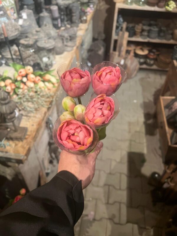 Tulpen bos dubbele bloem - Afbeelding 6