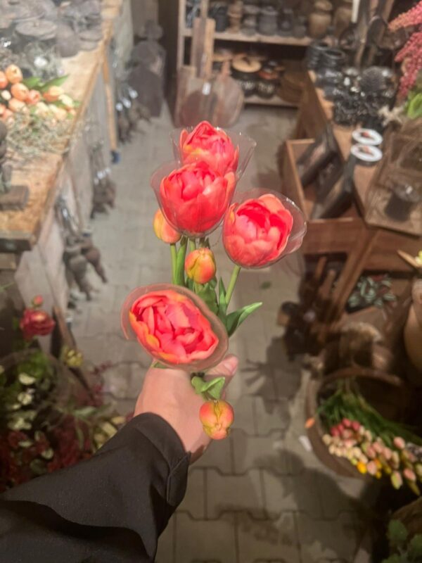 Tulpen bos dubbele bloem - Afbeelding 4