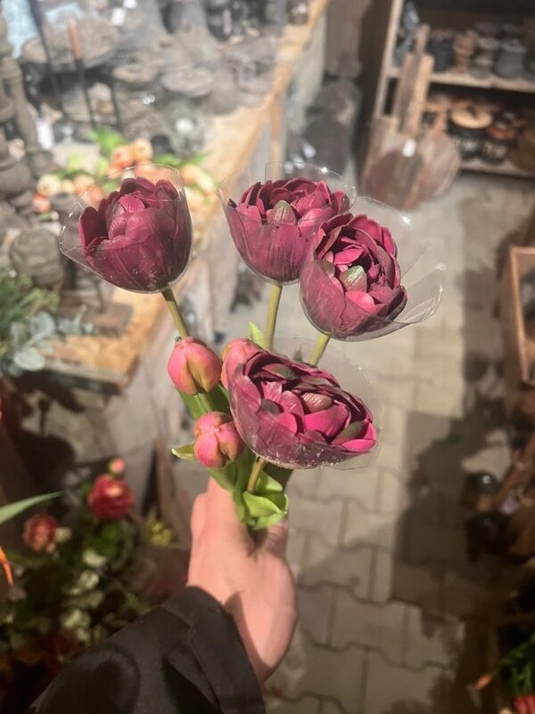 Tulpen bos dubbele bloem - Afbeelding 2