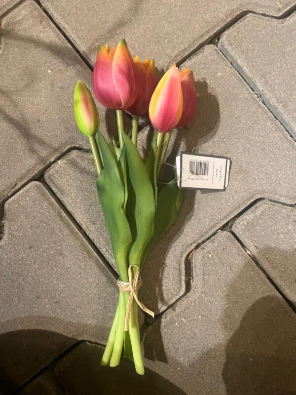 Tulpen bos korte tulp - Afbeelding 2