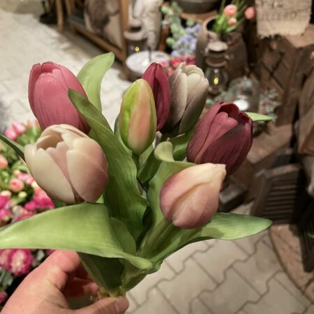 Tulpen bos middenmaat tulp