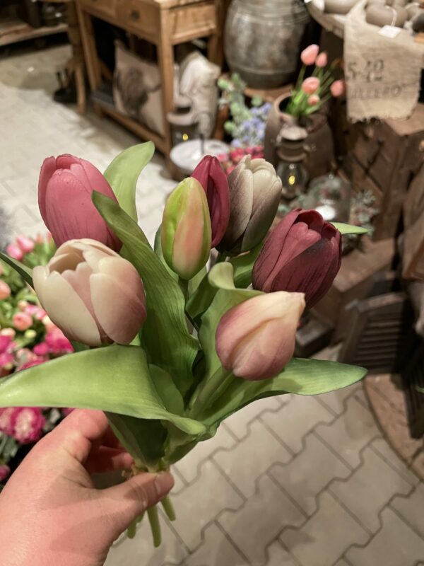 Tulpen bos middenmaat tulp