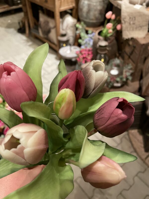 Tulpen bos middenmaat tulp - Afbeelding 2