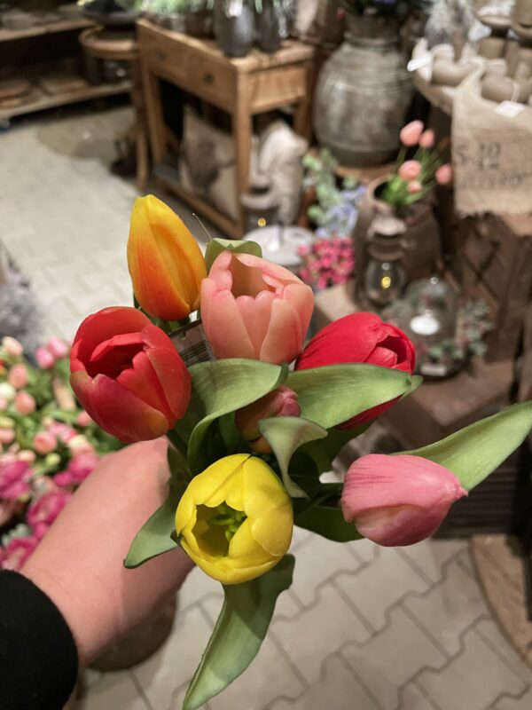 Tulpen bos middenmaat tulp - Afbeelding 2