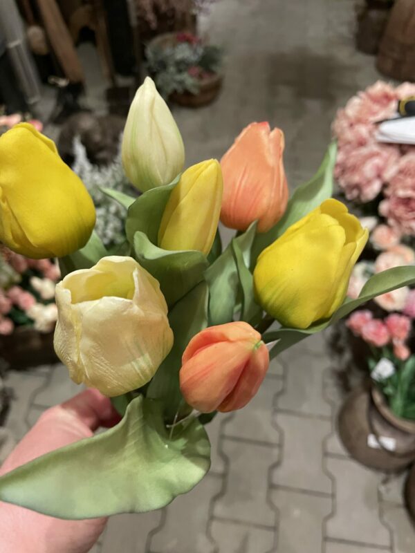 Tulpen bos middenmaat tulp - Afbeelding 2