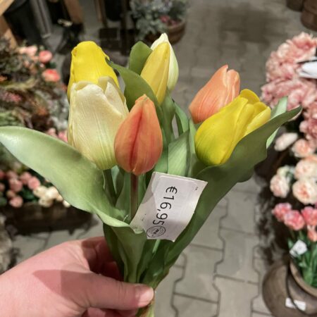 Tulpen bos middenmaat tulp