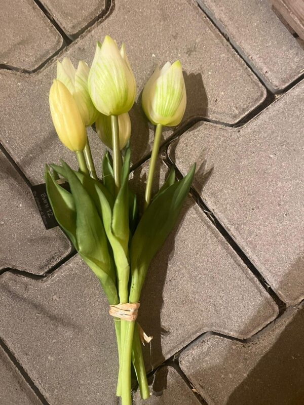 Tulpen bos korte tulp - Afbeelding 4