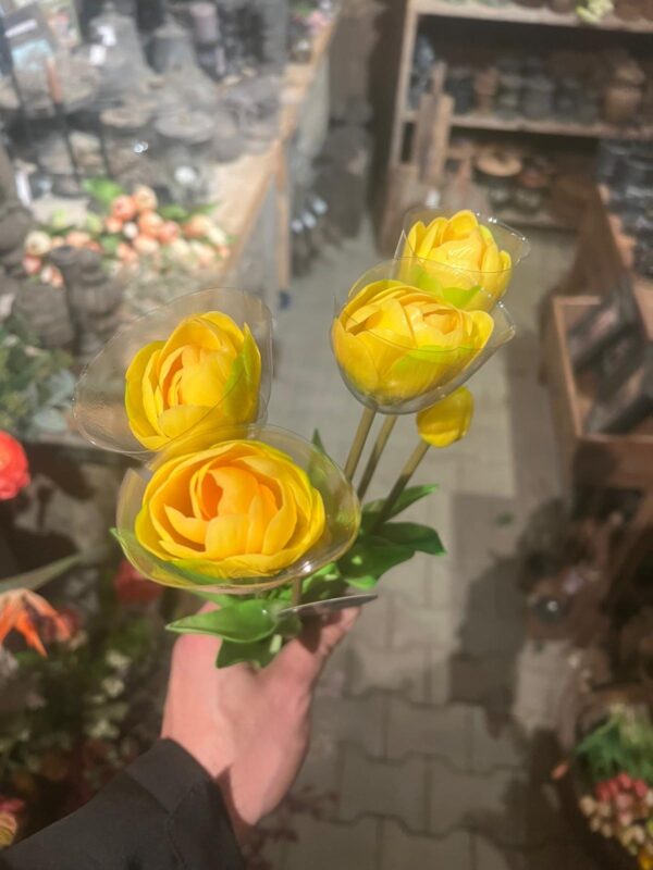 Tulpen bos dubbele bloem - Afbeelding 8