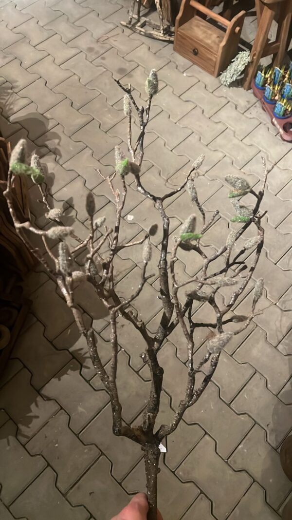 Kunst magnolia tak