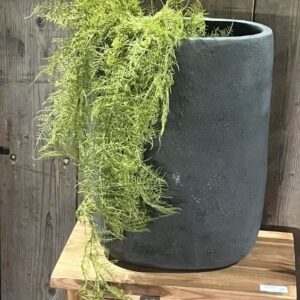 Hangplant kunst asparagus