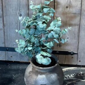 Kunst plant eucalyptus