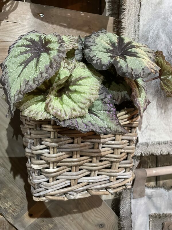 Kunst blad begonia - Afbeelding 3