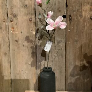 Kunst magnolia