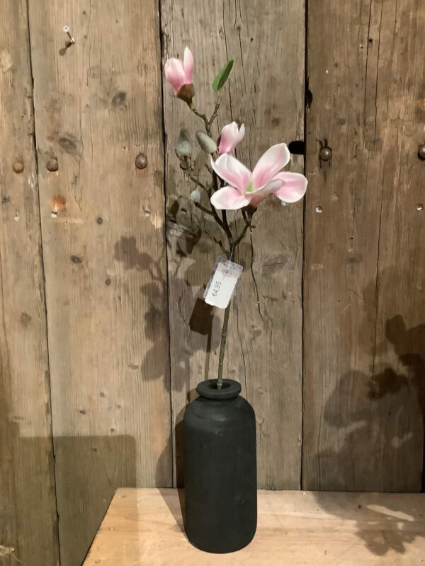 Kunst magnolia