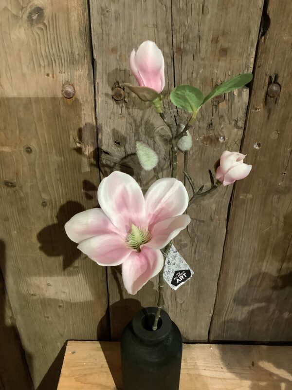 Kunst magnolia - Afbeelding 2