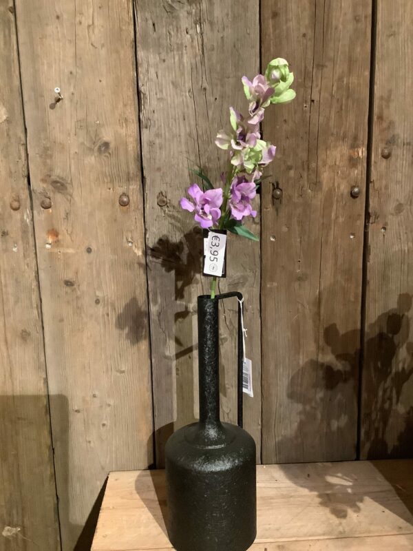 Kunst delphinium paars