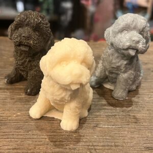 Geur labradoodle