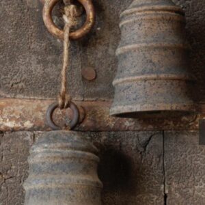Bell Raijua large