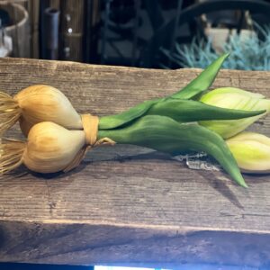 Tulp met knol wit