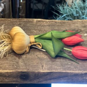 Tulp met knol roze