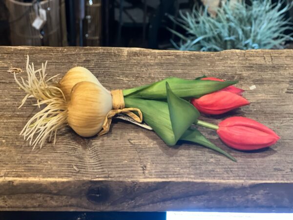Tulp met knol roze