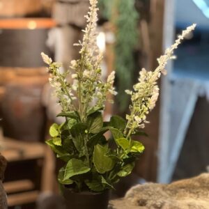 Kunst plant wit