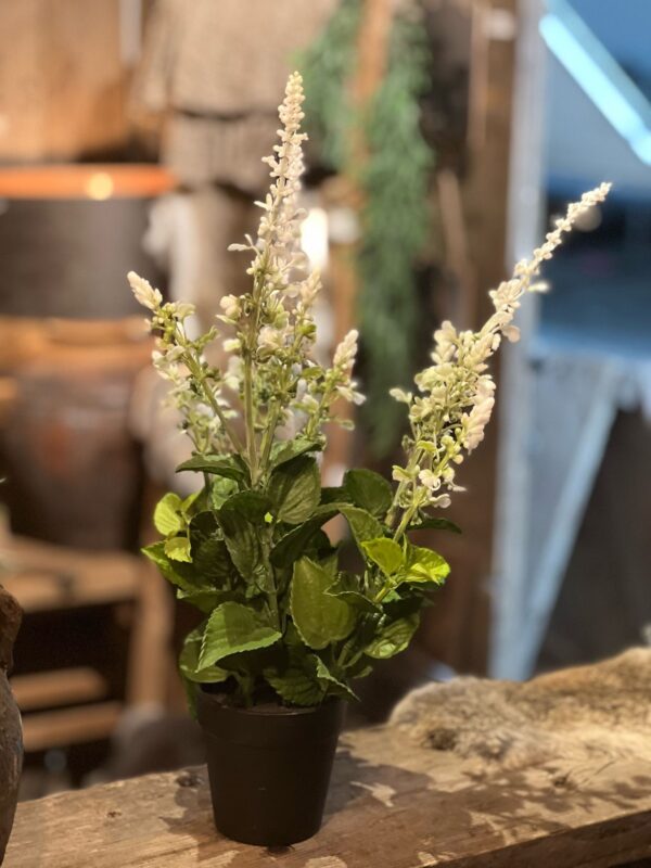 Kunst plant wit