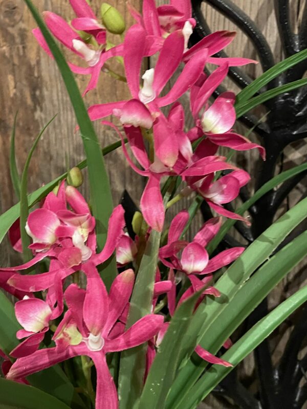 Kunst orchidee donker roze - Afbeelding 2