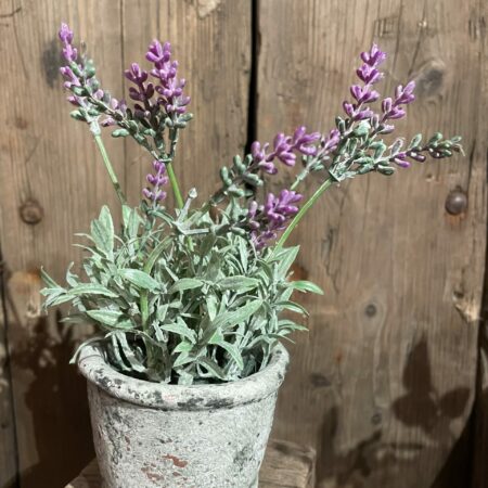 Potje kunst lavendel licht paars