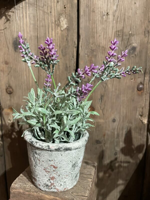 Potje kunst lavendel licht paars