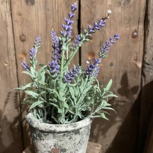 Potje kunst lavendel